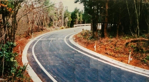 海府幹線4号線２ (2).jpg